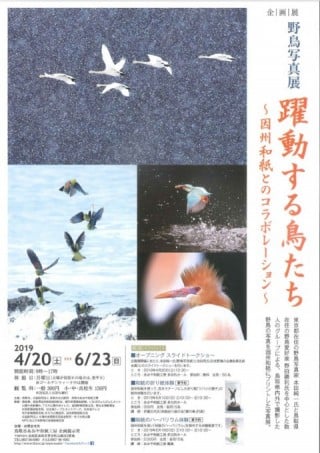 Wild bird photo exhibition